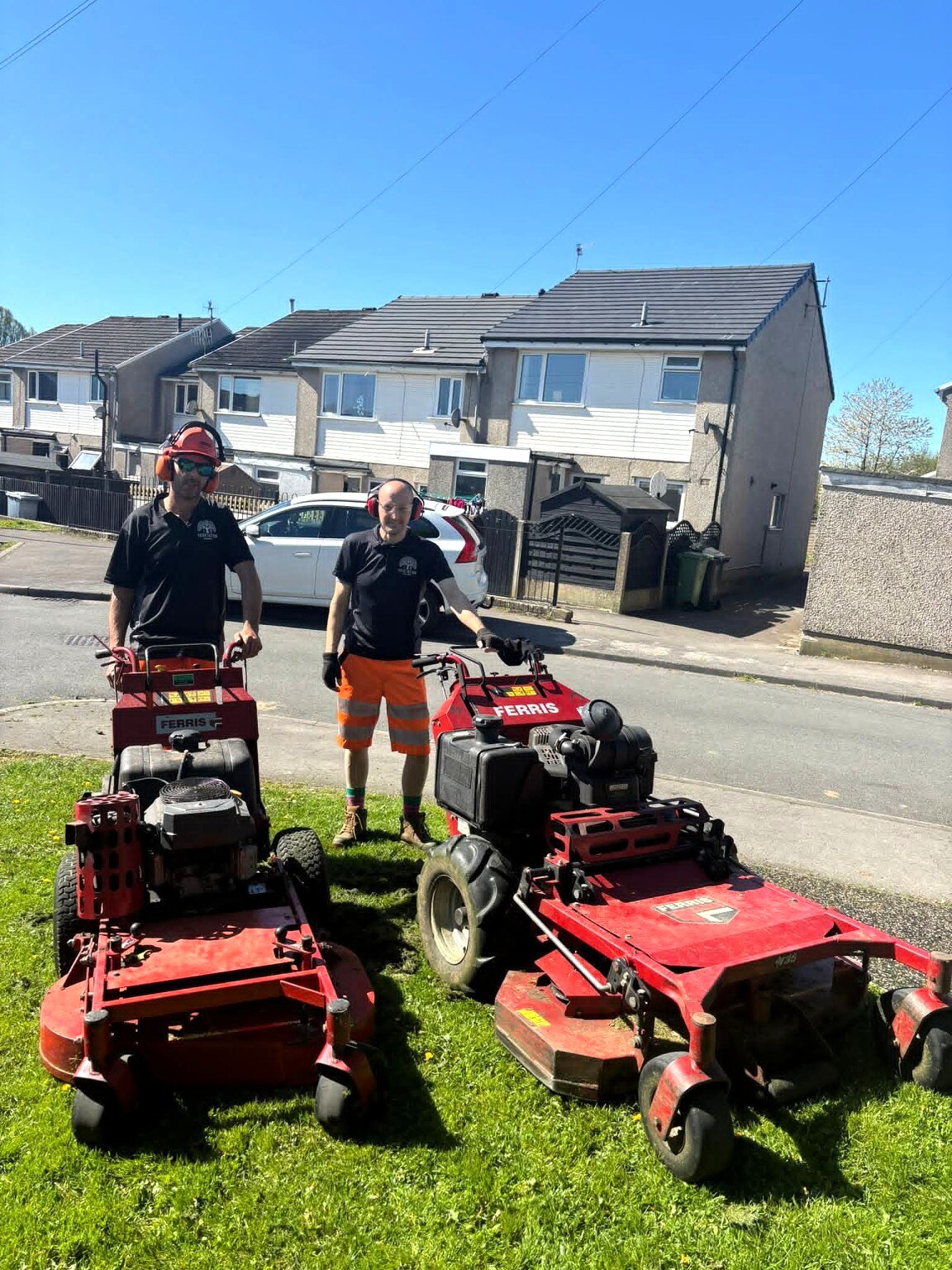Commercial mowing team and professional equipment