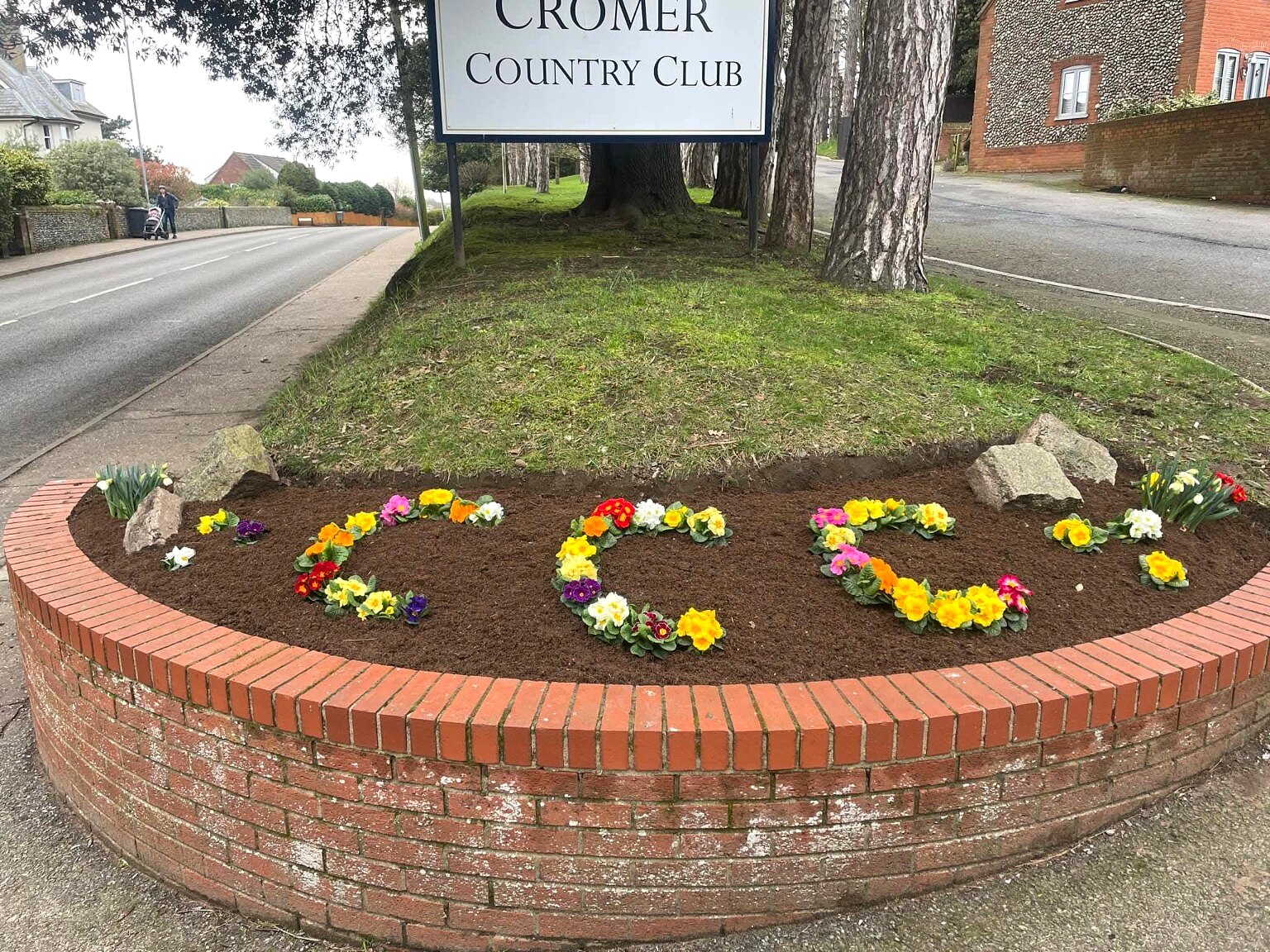 Maintained planted display at a commercial site